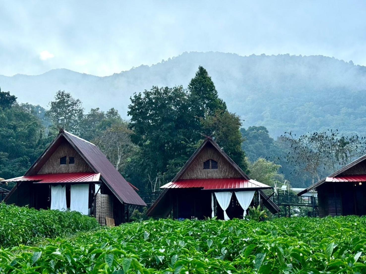 น่านศิลารมย์ Hotel Ban Bun Yun  Exterior photo