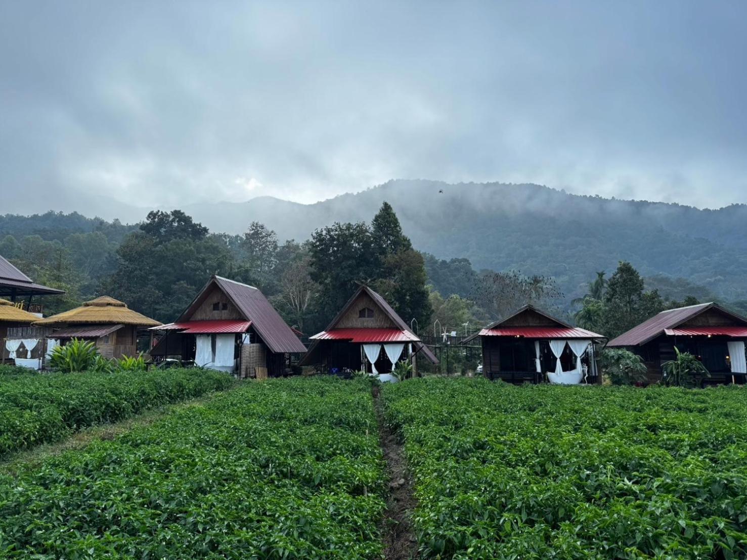 น่านศิลารมย์ Hotel Ban Bun Yun  Exterior photo